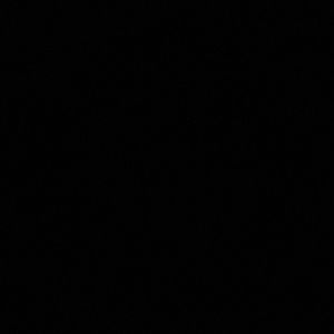 DANIELA PERFUME FOR WOMEN 3.4